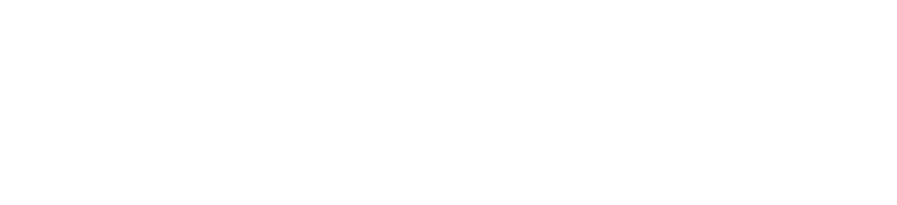Critical Ventures
